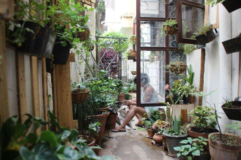 Jardines del Sol Verde 1